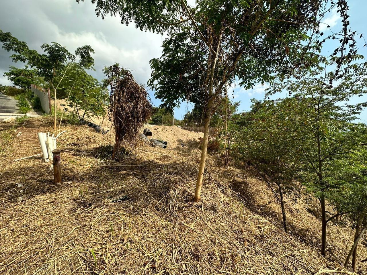 Build-Your-Dream-Home-at-Widcombe-Estate-Kingston-6-–-9044-Sq-Ft-Lot-for-Sale First image of 23 Widcombe Estate in Kingston 6, St. Andrew, Jamaica - property is For Sale