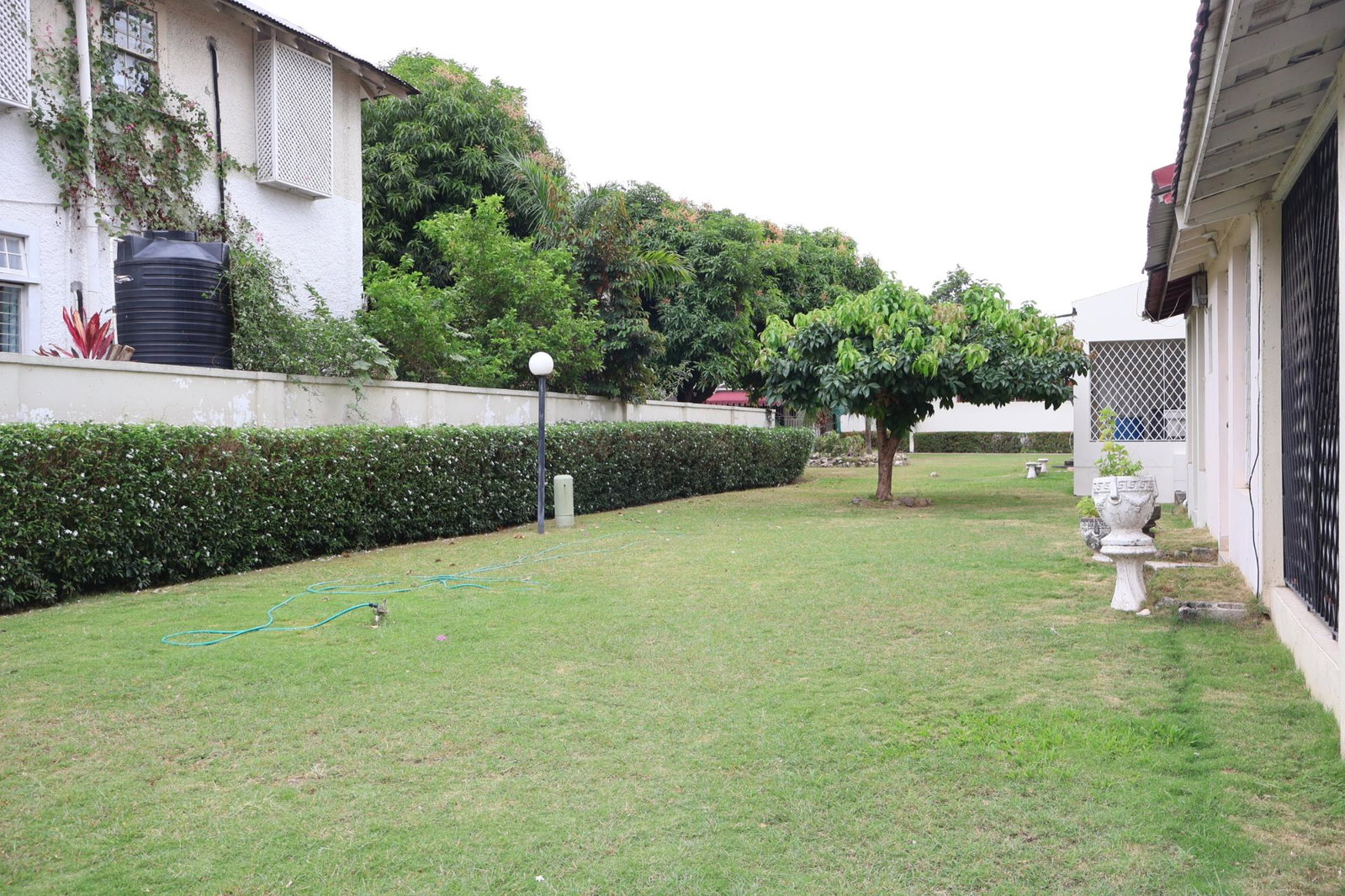 Twenty-Sixth image of 27-5 Devon Road in Kingston 10, St. Andrew, Jamaica - property is For Rent