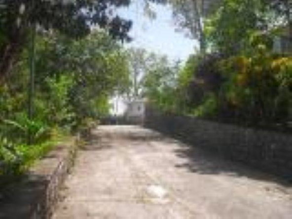 Sixth image of 3- Swain Spring Road in Red Hills, St. Andrew, Jamaica - property is For Rent