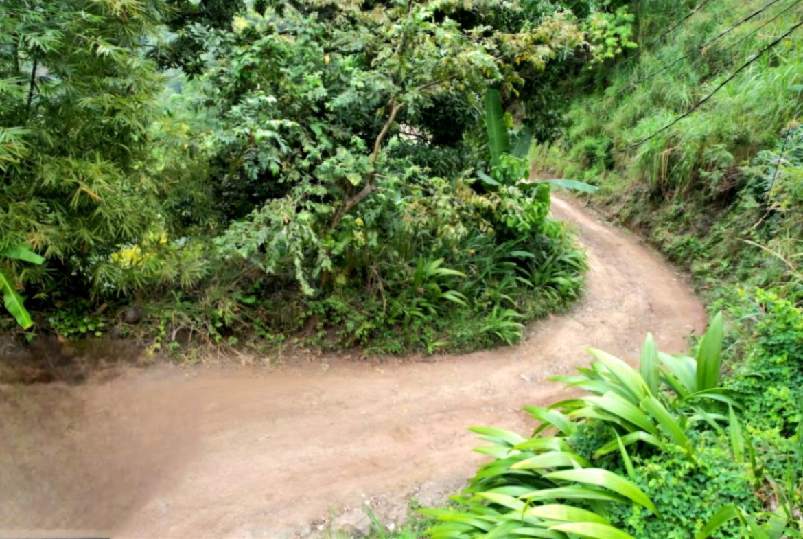 Third image of Gordon Town, St. Andrew in Gordon Town P.O., St. Andrew, Jamaica - property is For Sale
