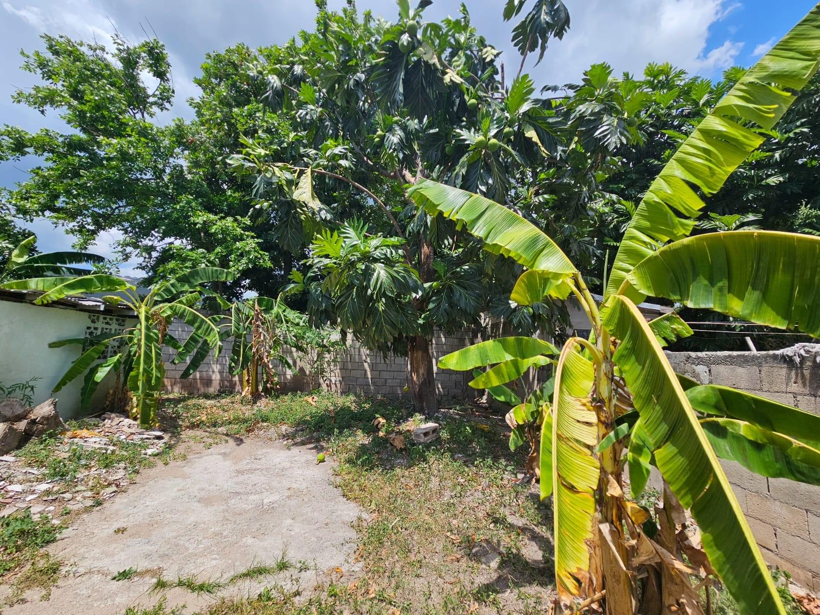 Eleventh image of 12 Anglesea Ave, Pembroke in Kingston 20, St. Andrew, Jamaica - property is For Sale
