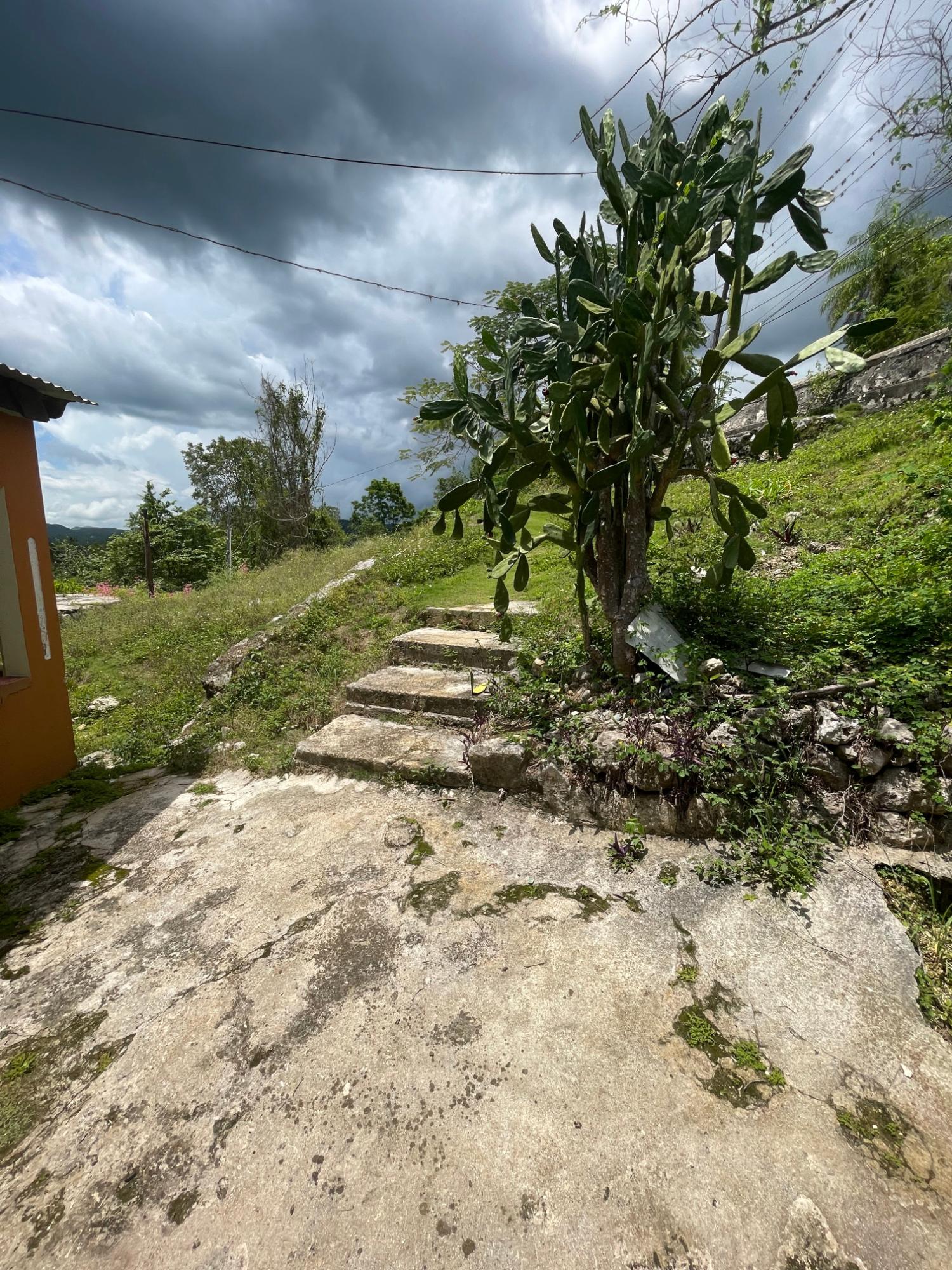 Twelfth image of Union Avenue in Union, St. Elizabeth, Jamaica - property is For Sale
