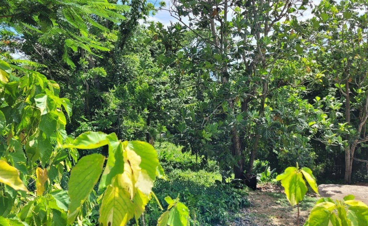 Fourteenth image of Union Avenue in Union, St. Elizabeth, Jamaica - property is For Sale