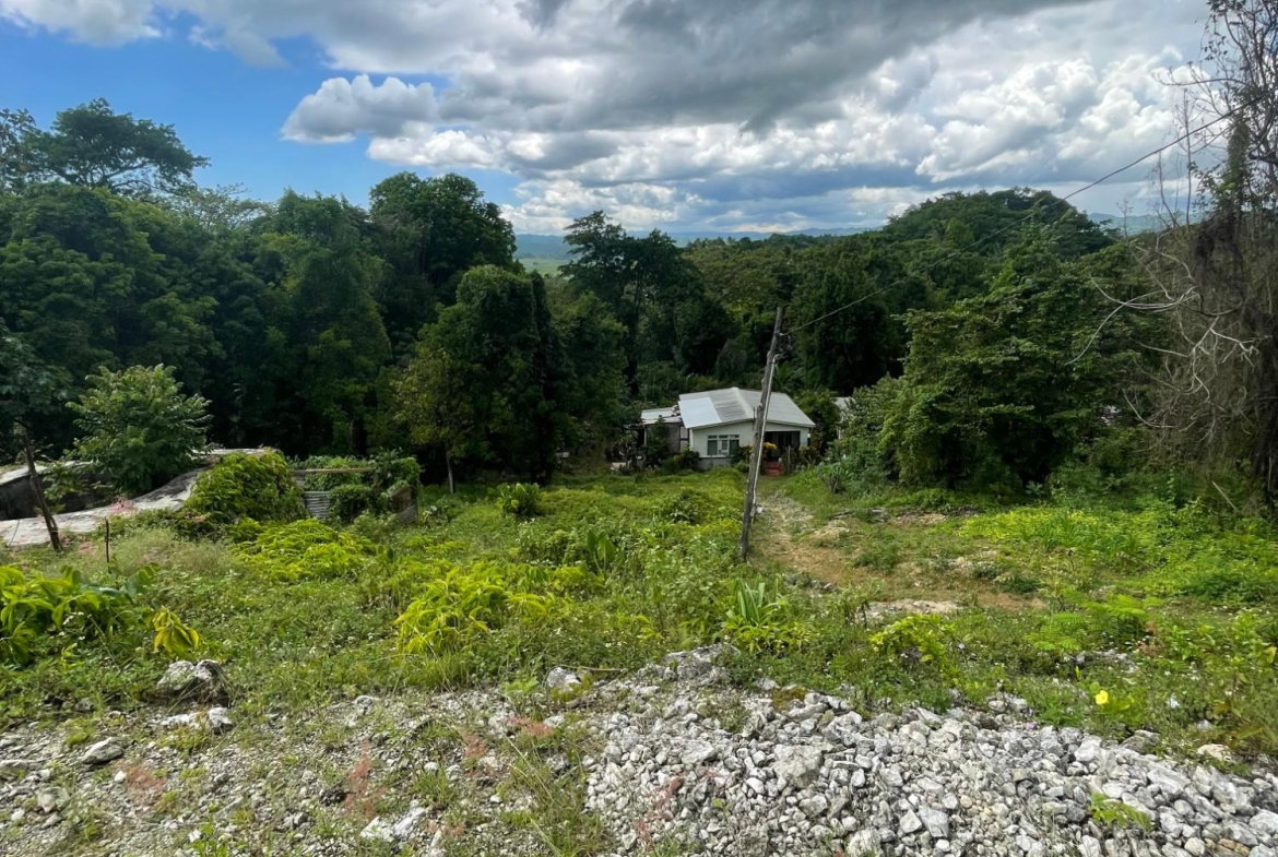 Seventeenth image of Union Avenue in Union, St. Elizabeth, Jamaica - property is For Sale