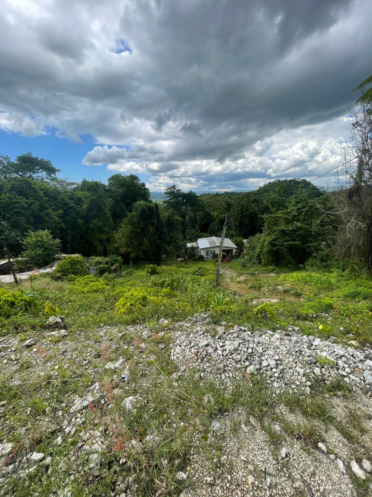Seventeenth image of Union Avenue in Union, St. Elizabeth, Jamaica - property is For Sale