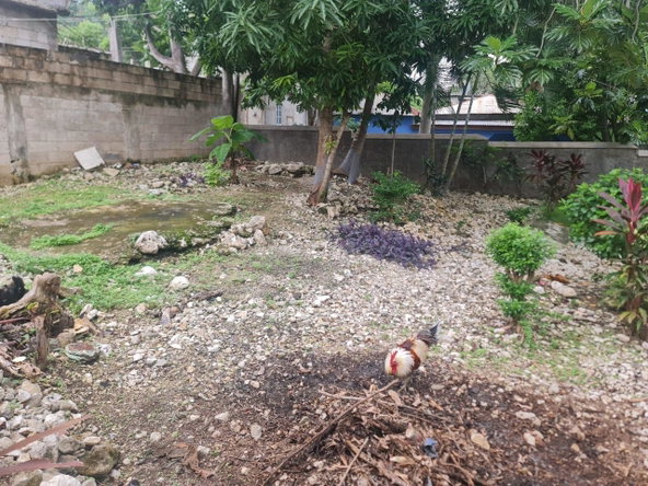 Twenty-Fifth image of Mcgann Drive Sandy Bay, in Sandy Bay, Hanover, Jamaica - property is For Sale