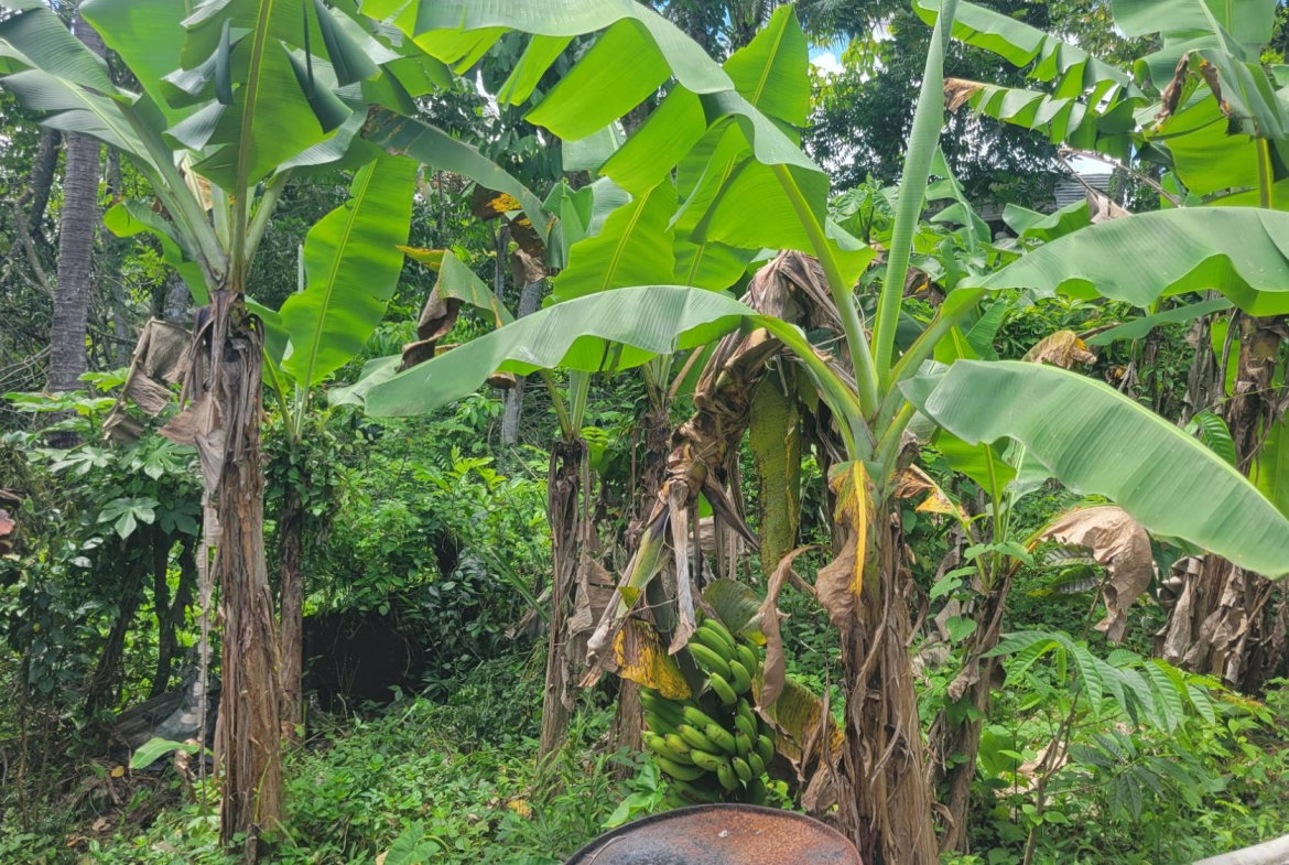 Eleventh image of West Prospect in West Prospect, St. Catherine, Jamaica - property is For Sale