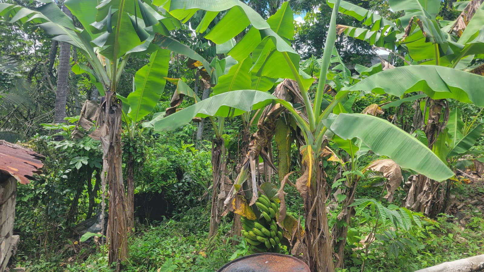 Eleventh image of West Prospect in West Prospect, St. Catherine, Jamaica - property is For Sale