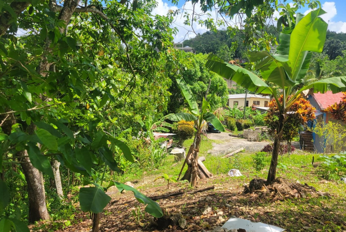 Twelfth image of West Prospect in West Prospect, St. Catherine, Jamaica - property is For Sale