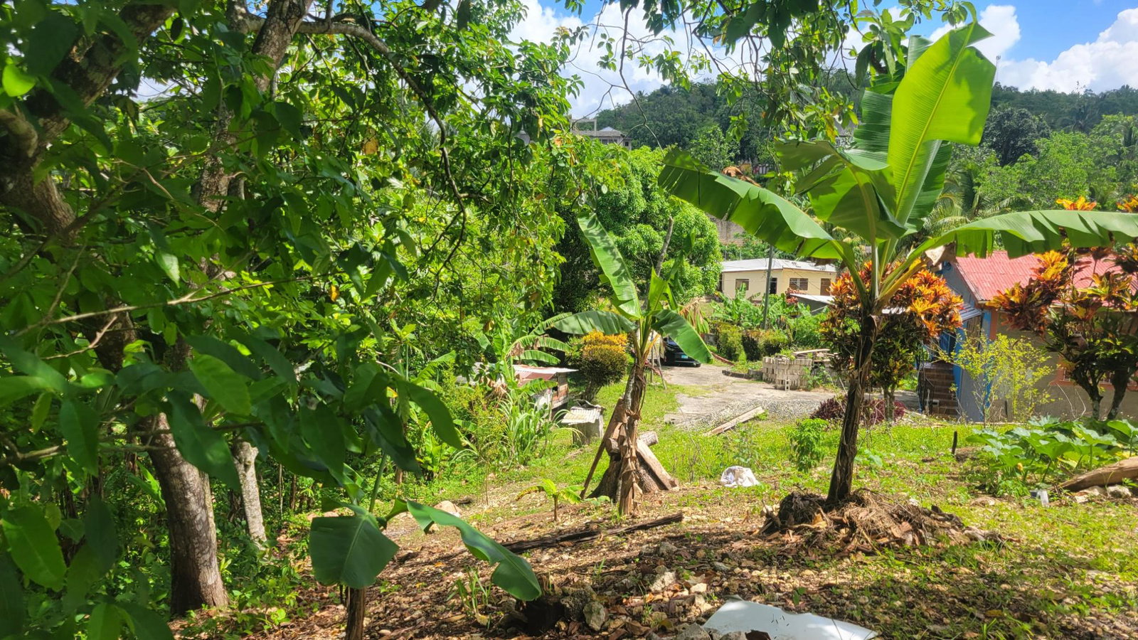 Twelfth image of West Prospect in West Prospect, St. Catherine, Jamaica - property is For Sale