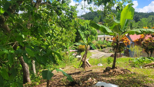 Twelfth image of West Prospect in West Prospect, St. Catherine, Jamaica - property is For Sale