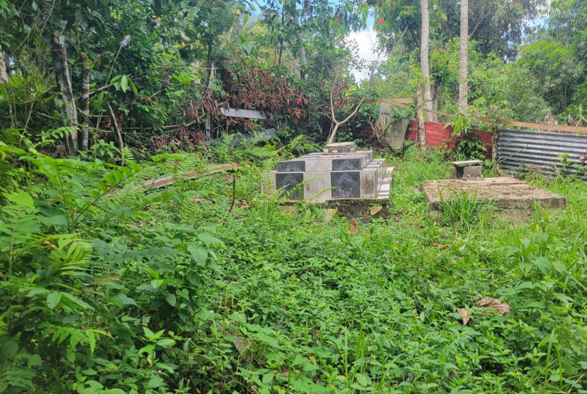 Thirteenth image of West Prospect in West Prospect, St. Catherine, Jamaica - property is For Sale