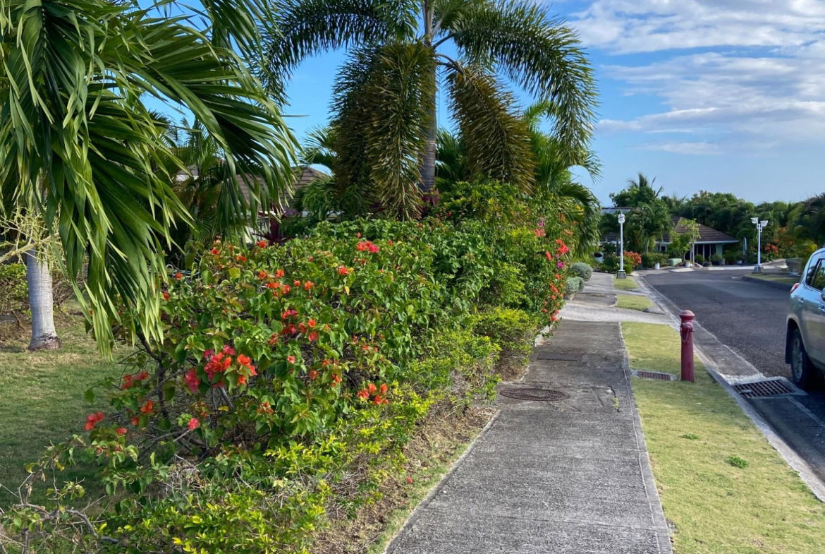 Fourteenth image of 634-breadfruit Richmond Estate in Laughlands, St. Ann, Jamaica - property is For Rent