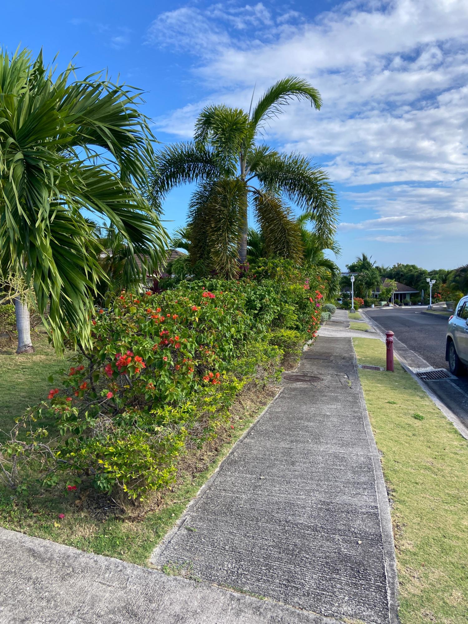 Charming-3-Bedroom-House-for-Rent-in-Coolshade-Richmond-Estate-St.-Ann-Jamaica Fourteenth image of 634-breadfruit Richmond Estate in Laughlands, St. Ann, Jamaica - property is For Rent