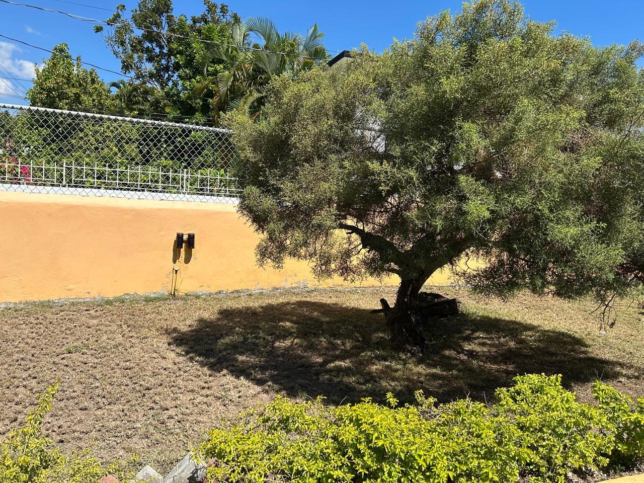 Fourth image of 5 Handel Avenue in Kingston 8, St. Andrew, Jamaica - property is For Rent