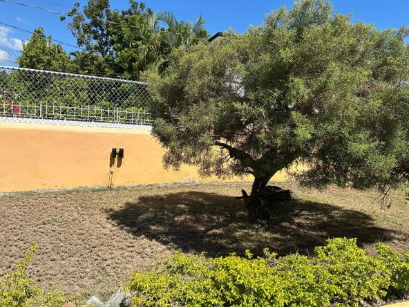 Fourth image of 5 Handel Avenue in Kingston 8, St. Andrew, Jamaica - property is For Rent