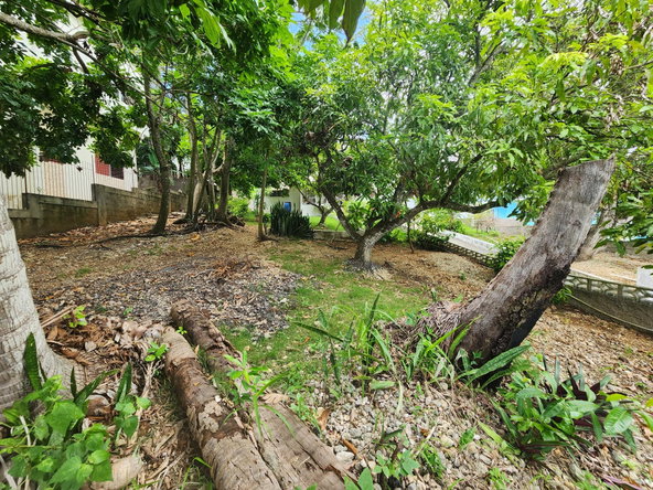 Twenty-Fifth image of 27 Rosemount in Montego Bay, St. James, Jamaica - property is For Sale