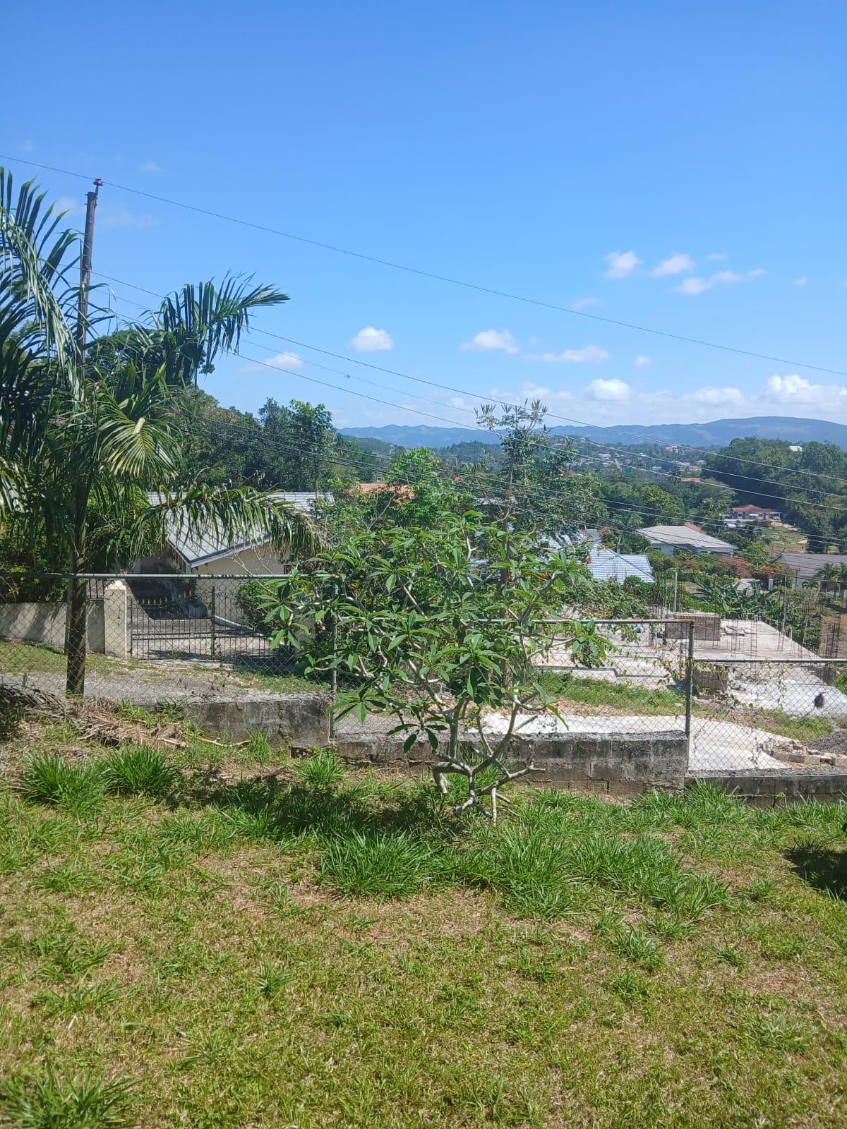 Fifteenth image of Lot 23 Balvenie Heights, Mandevi in Mandeville, Manchester, Jamaica - property is For Sale