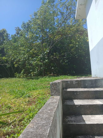 Eighth image of Lot 23 Balvenie Heights, Mandevi in Mandeville, Manchester, Jamaica - property is For Sale