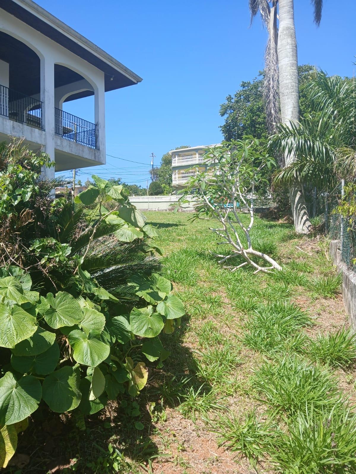 Ninth image of Lot 23 Balvenie Heights, Mandevi in Mandeville, Manchester, Jamaica - property is For Sale
