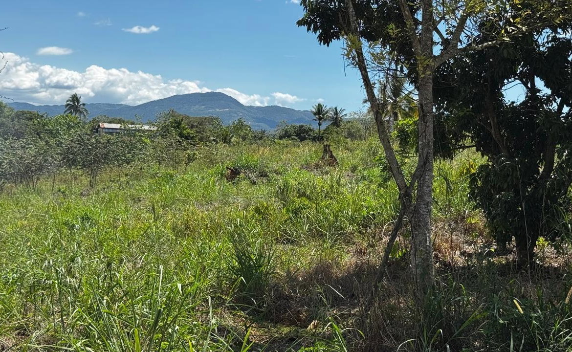 Eleventh image of Lot 1- Cambria, Linstead in Linstead, St. Catherine, Jamaica - property is For Sale