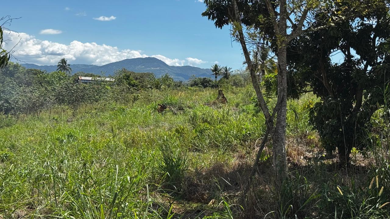 Eleventh image of Lot 1- Cambria, Linstead in Linstead, St. Catherine, Jamaica - property is For Sale