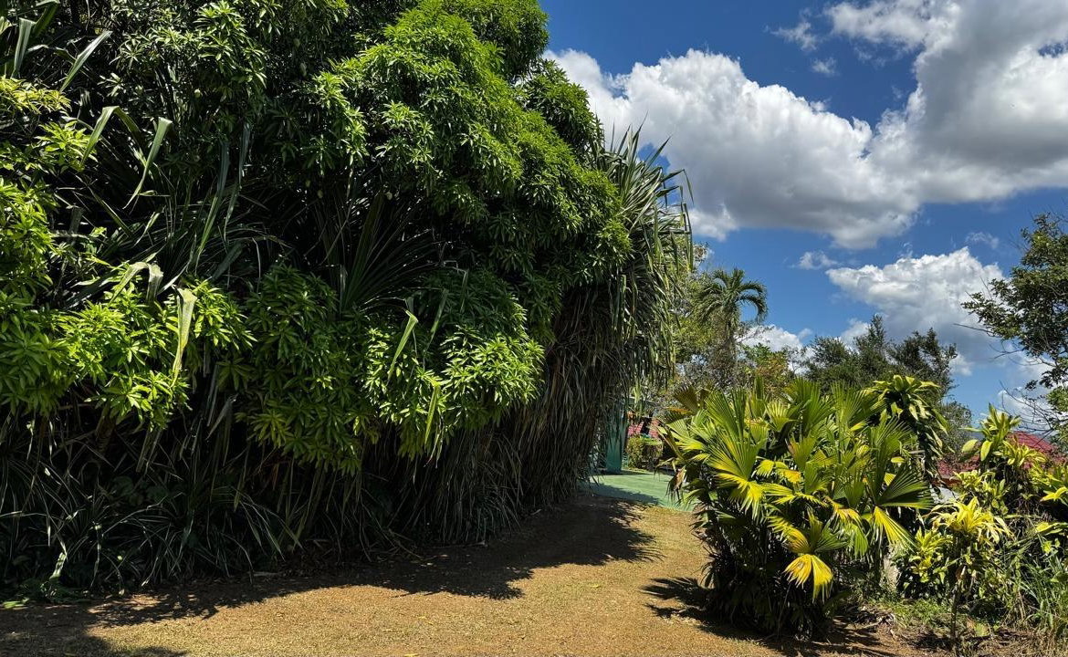 Twelfth image of Lot 1- Cambria, Linstead in Linstead, St. Catherine, Jamaica - property is For Sale
