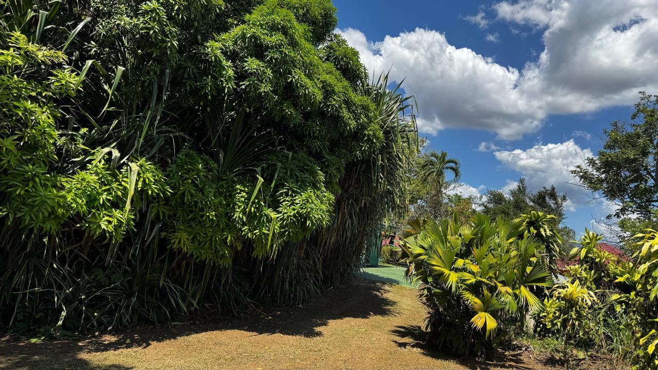 Twelfth image of Lot 1- Cambria, Linstead in Linstead, St. Catherine, Jamaica - property is For Sale