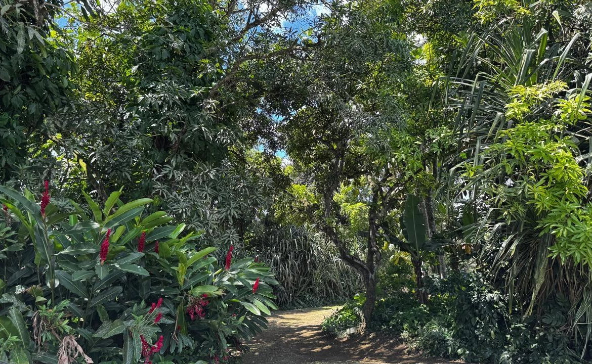 Thirteenth image of Lot 1- Cambria, Linstead in Linstead, St. Catherine, Jamaica - property is For Sale