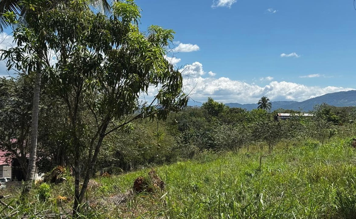 Fourteenth image of Lot 1- Cambria, Linstead in Linstead, St. Catherine, Jamaica - property is For Sale