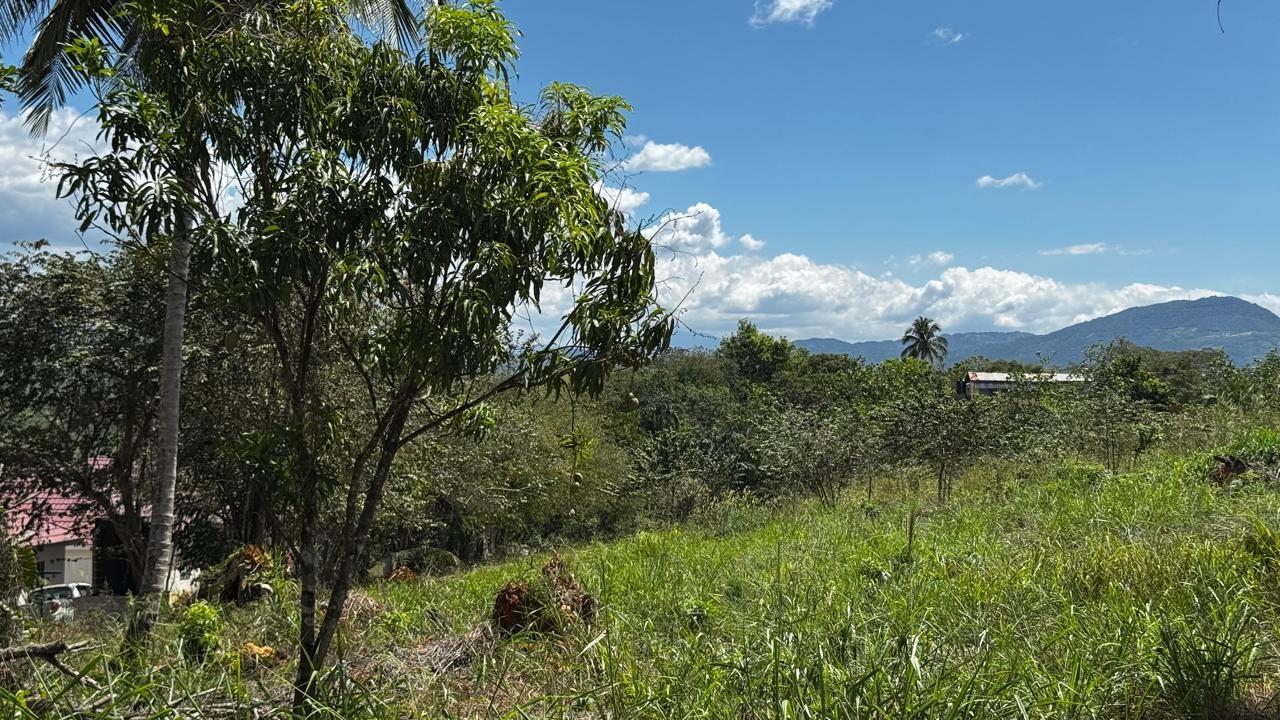 Fourteenth image of Lot 1- Cambria, Linstead in Linstead, St. Catherine, Jamaica - property is For Sale