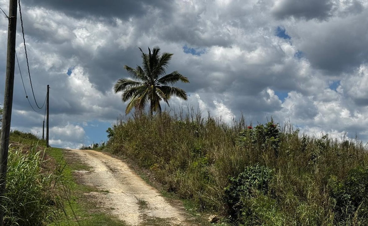 Seventeenth image of Lot 1- Cambria, Linstead in Linstead, St. Catherine, Jamaica - property is For Sale