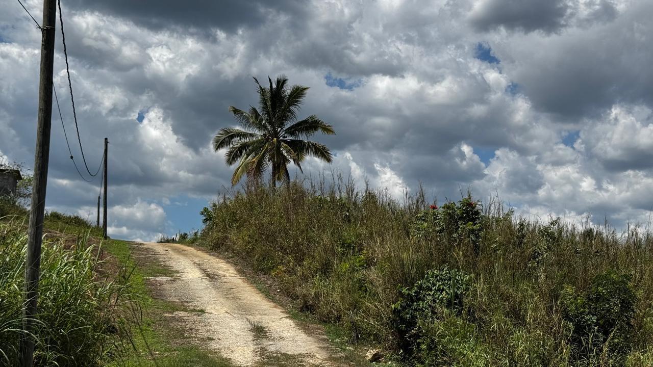 Seventeenth image of Lot 1- Cambria, Linstead in Linstead, St. Catherine, Jamaica - property is For Sale