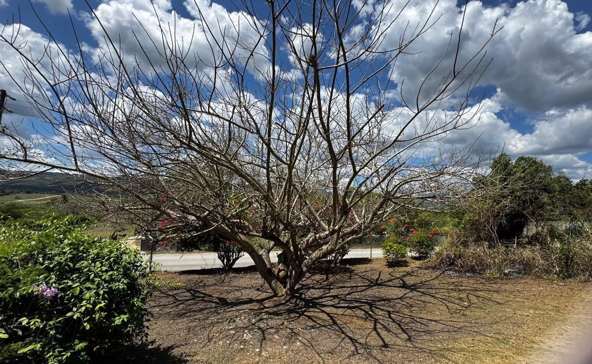 Eighteenth image of Lot 1- Cambria, Linstead in Linstead, St. Catherine, Jamaica - property is For Sale