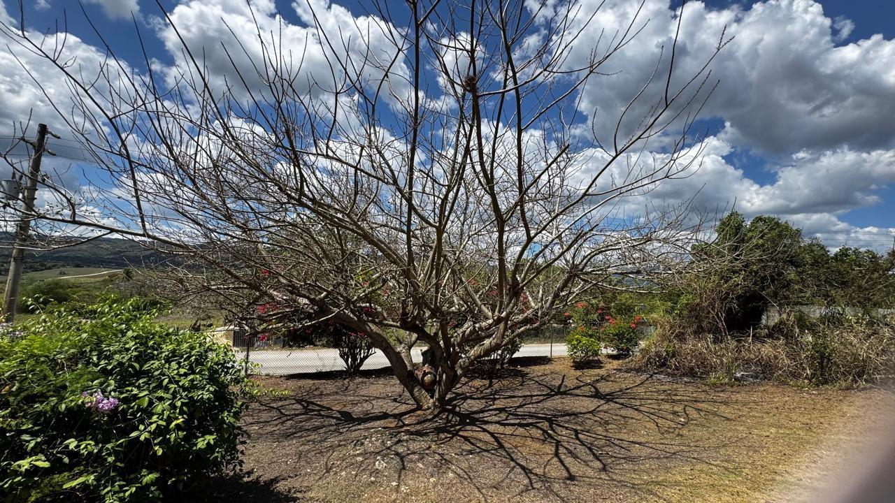 Eighteenth image of Lot 1- Cambria, Linstead in Linstead, St. Catherine, Jamaica - property is For Sale