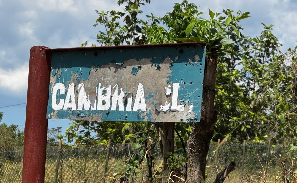 Nineteenth image of Lot 1- Cambria, Linstead in Linstead, St. Catherine, Jamaica - property is For Sale