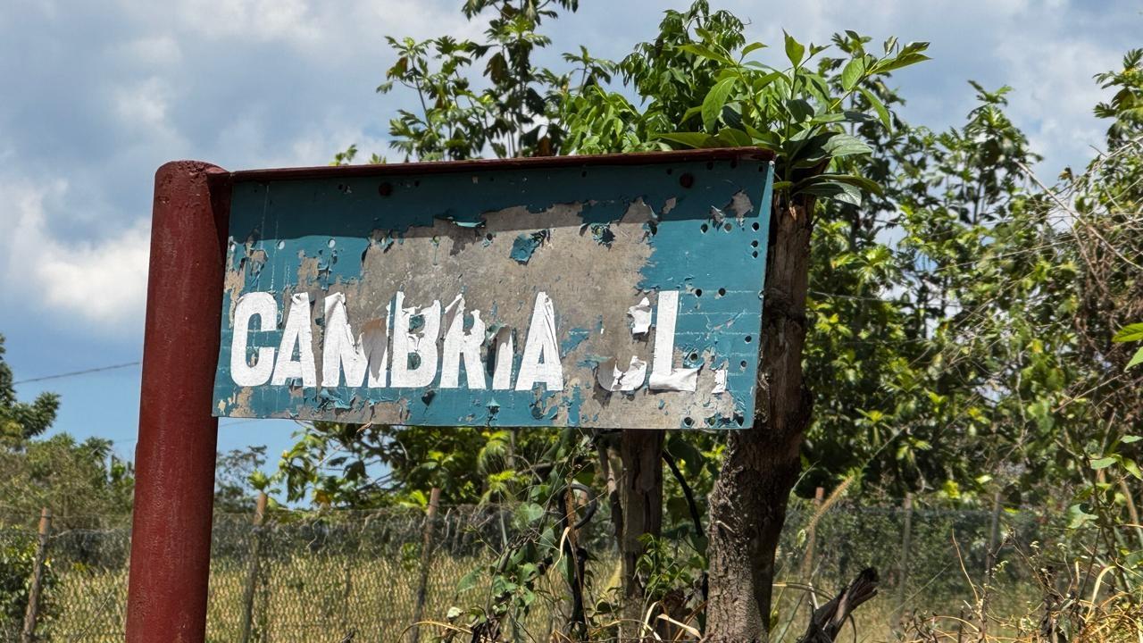 Nineteenth image of Lot 1- Cambria, Linstead in Linstead, St. Catherine, Jamaica - property is For Sale