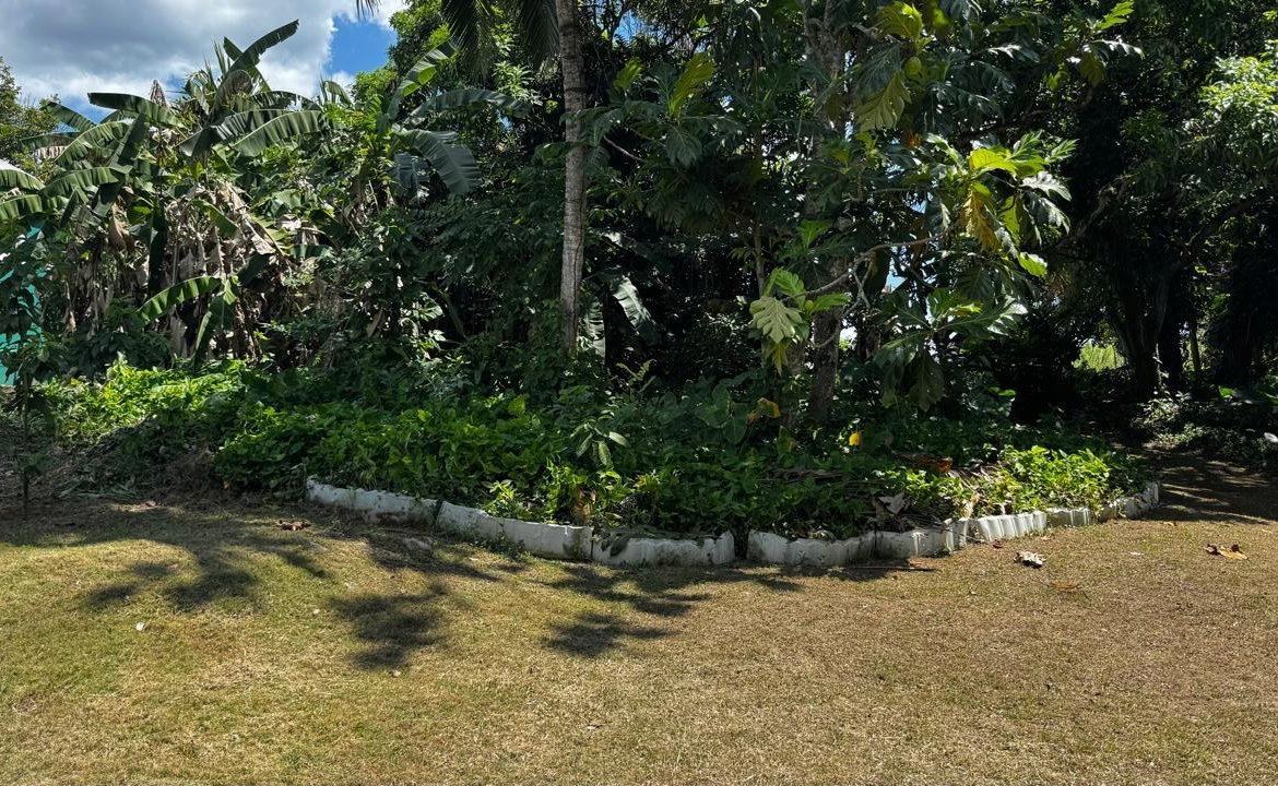 Ninth image of Lot 1- Cambria, Linstead in Linstead, St. Catherine, Jamaica - property is For Sale