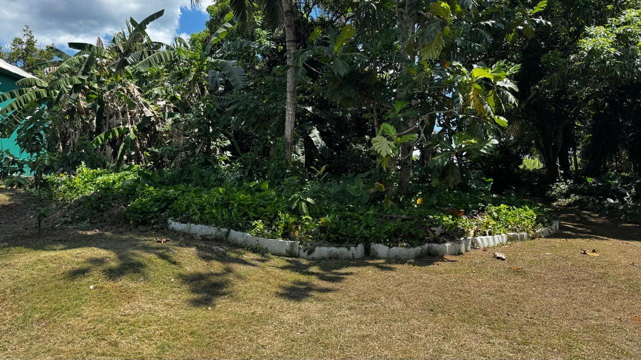 Ninth image of Lot 1- Cambria, Linstead in Linstead, St. Catherine, Jamaica - property is For Sale