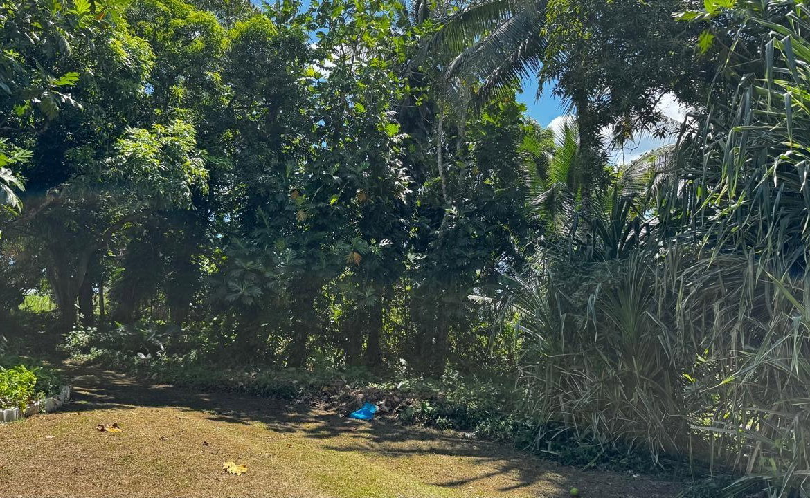 Tenth image of Lot 1- Cambria, Linstead in Linstead, St. Catherine, Jamaica - property is For Sale