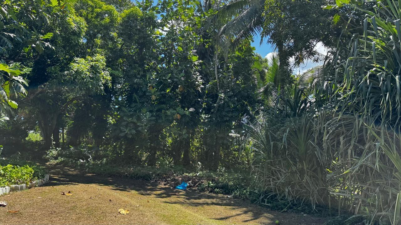 Tenth image of Lot 1- Cambria, Linstead in Linstead, St. Catherine, Jamaica - property is For Sale