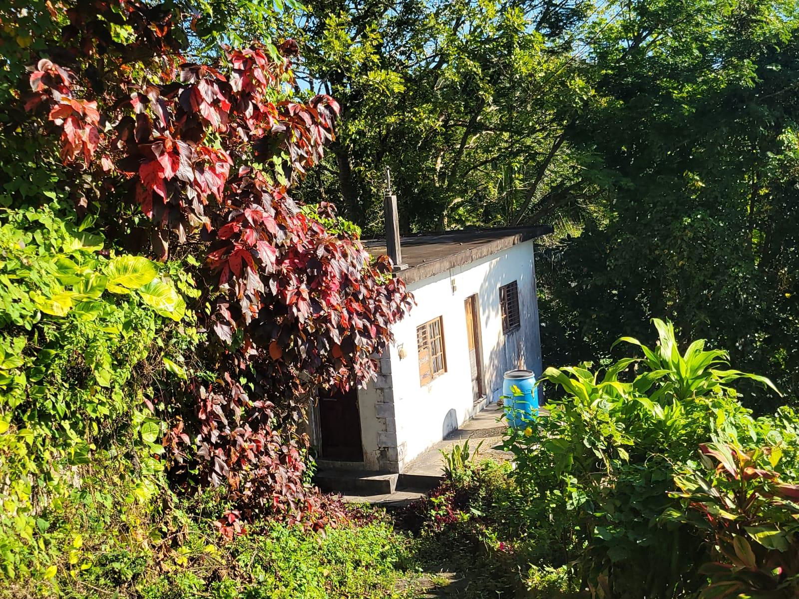 Charming-4-Bedroom-House-for-Sale-at-Lot-68-Bullock-Heights-St.-James-Jamaica Second image of Lot 68 Bullock Heights, Bull Pen in Bull Pen, St. James, Jamaica - property is For Sale