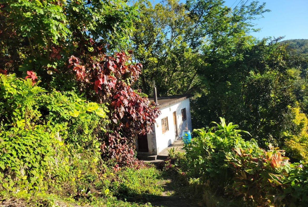 Fourth image of Lot 68 Bullock Heights, Bull Pen in Bull Pen, St. James, Jamaica - property is For Sale