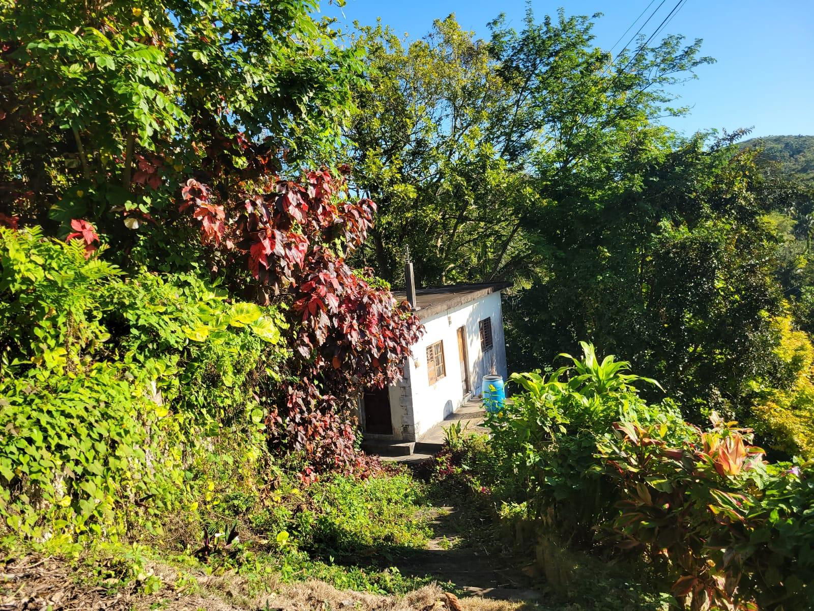 Charming-4-Bedroom-House-for-Sale-at-Lot-68-Bullock-Heights-St.-James-Jamaica Fourth image of Lot 68 Bullock Heights, Bull Pen in Bull Pen, St. James, Jamaica - property is For Sale