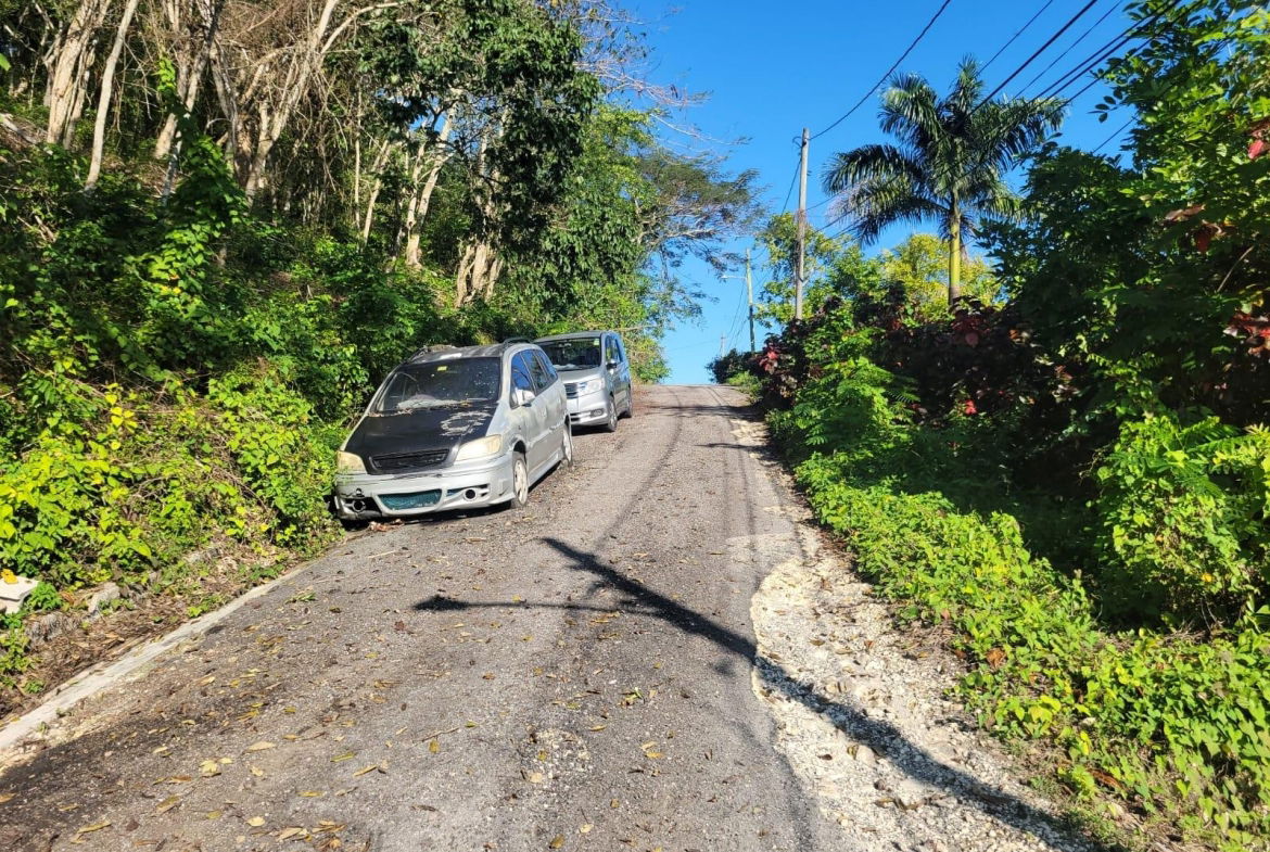 Sixth image of Lot 68 Bullock Heights, Bull Pen in Bull Pen, St. James, Jamaica - property is For Sale