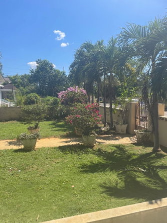 Fourth image of Part of Longwood St. Eliz in Santa Cruz, St. Elizabeth, Jamaica - property is For Sale