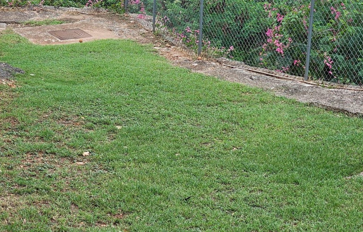 Eighth image of 1-11 Stanley Terrace in Kingston 19, St. Andrew, Jamaica - property is For Sale