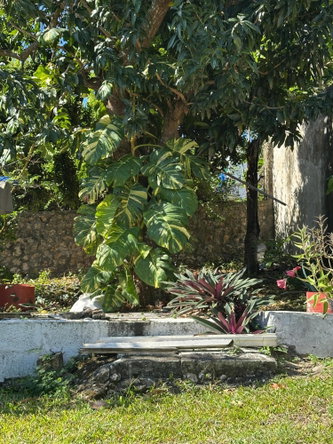 Sixteenth image of 41 Appleton Hall in Appleton Hall, St. James, Jamaica - property is For Rent