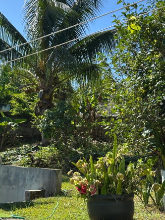 Seventeenth image of 41 Appleton Hall in Appleton Hall, St. James, Jamaica - property is For Rent
