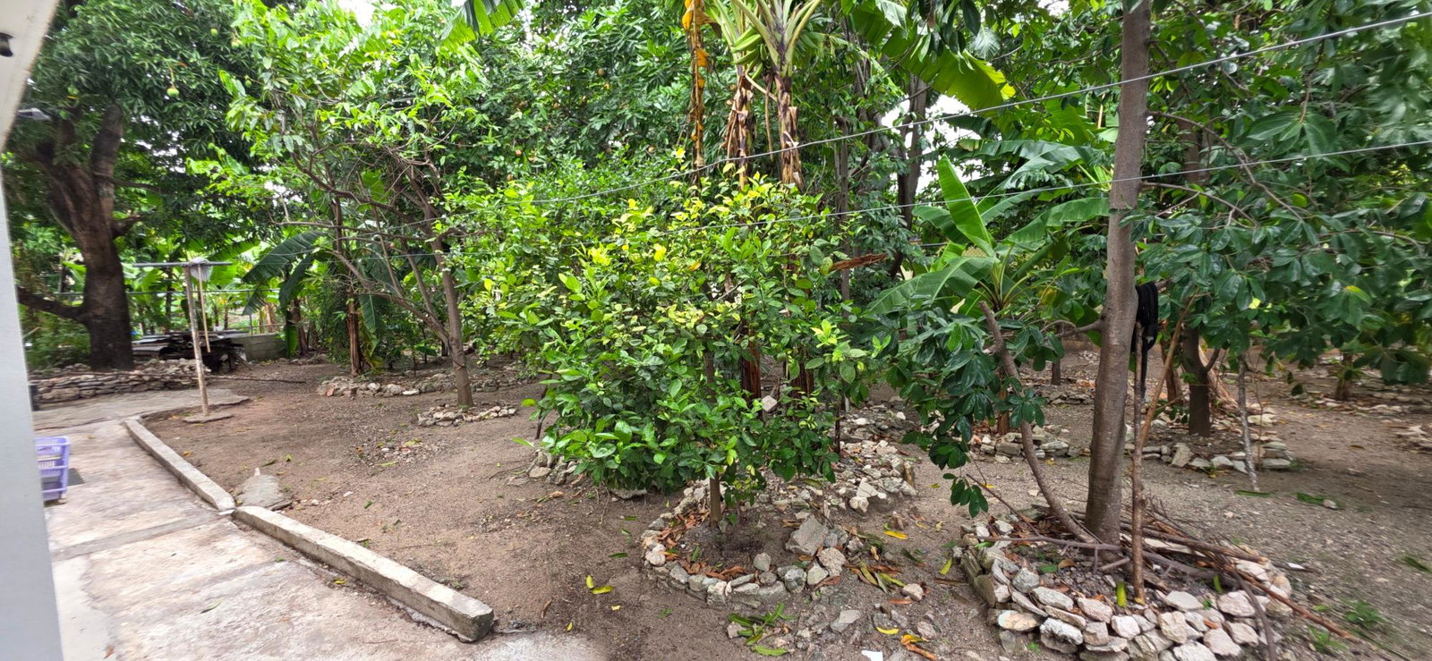 Thirteenth image of C-2f Woodlawn Ave in Kingston 19, St. Andrew, Jamaica - property is For Rent